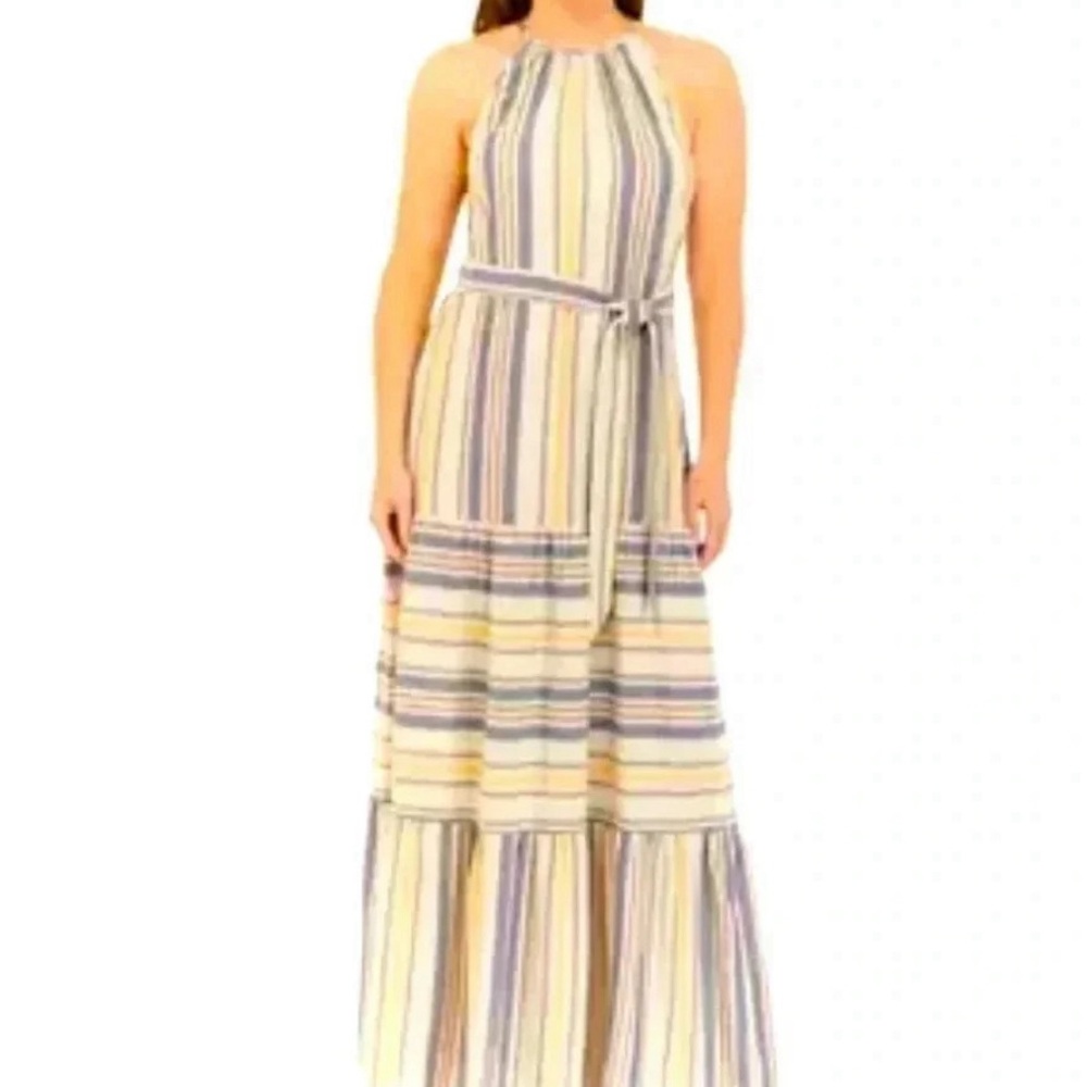 The Limited Multicolor Striped Maxi Dress